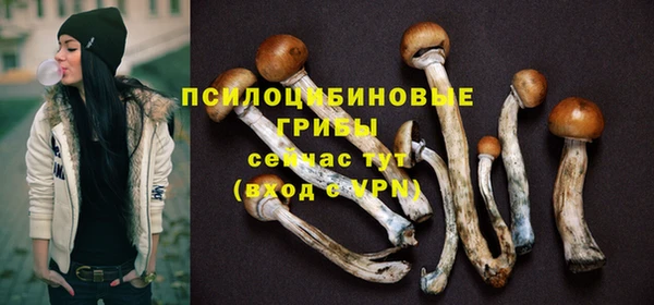 MESCALINE Аркадак