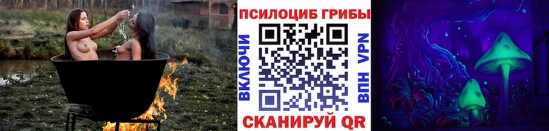 Псилоцибиновые грибы Psilocybe  закладка  Уяр 